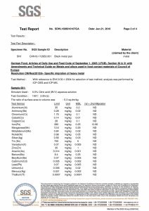 LFGB Professional Steel Testing Report 1