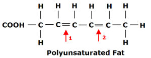 Polyunsaturated-Fat