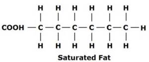 Saturated Fat